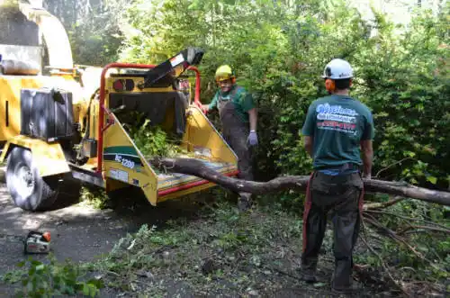 tree services Greene